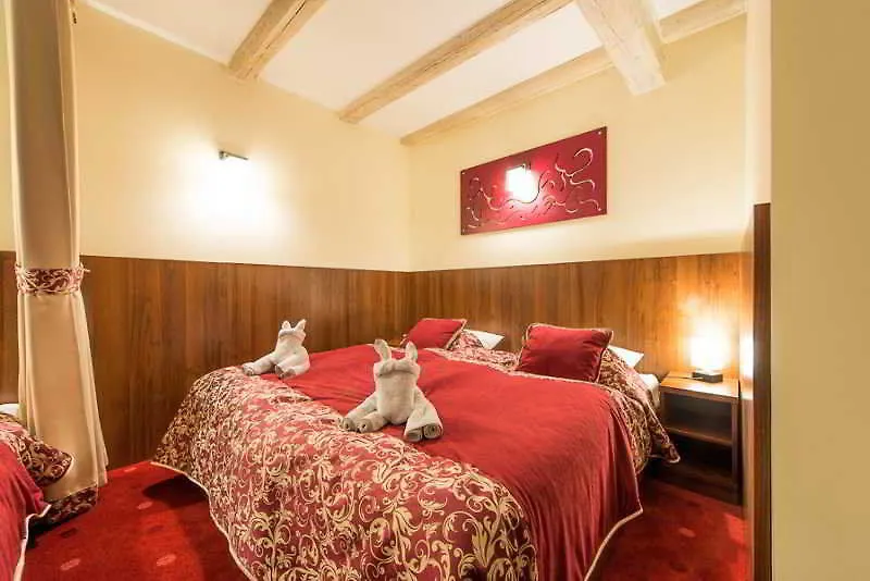 Hotel Alexander Krakov